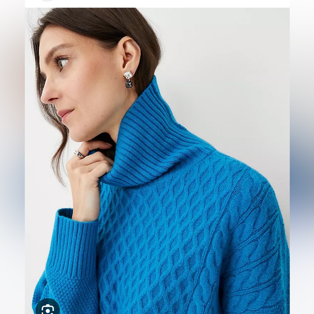 Ann Taylor sweater